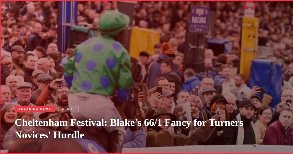 Cheltenham Festival: Blake's 66/1 Fancy for Turners Novices' Hurdle