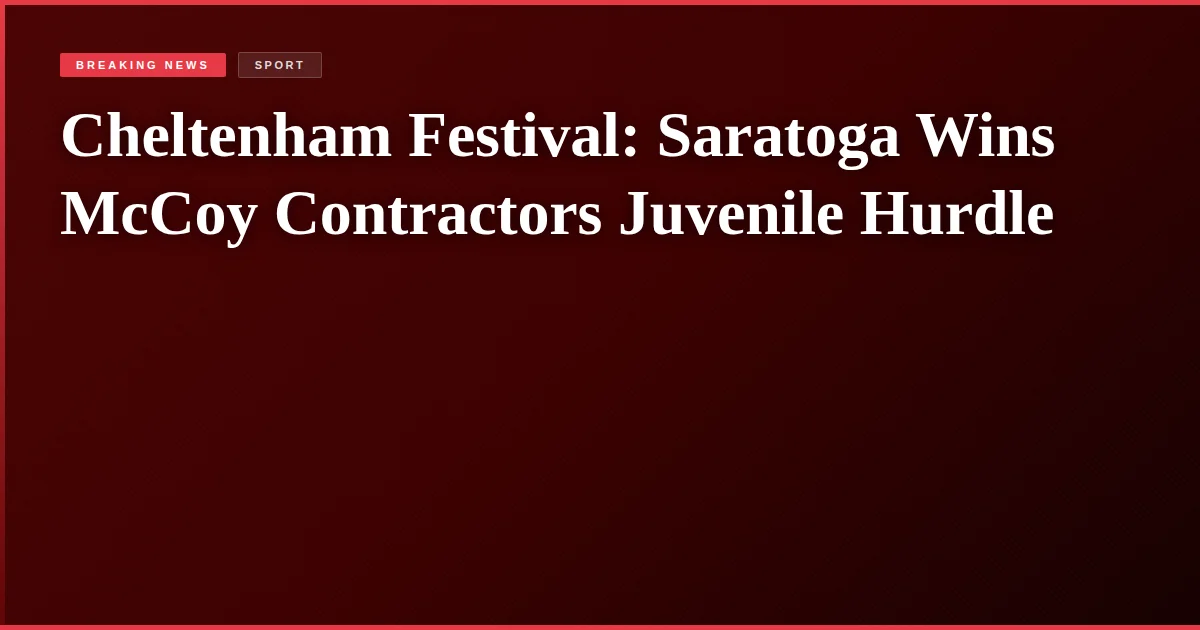 Cheltenham Festival: Saratoga Wins McCoy Contractors Juvenile Hurdle