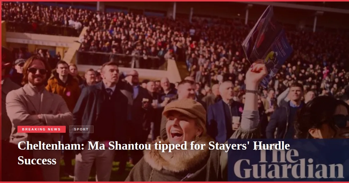 Cheltenham: Ma Shantou tipped for Stayers' Hurdle Success