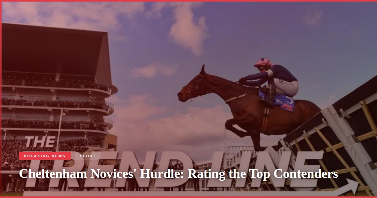 Cheltenham Novices' Hurdle: Rating the Top Contenders