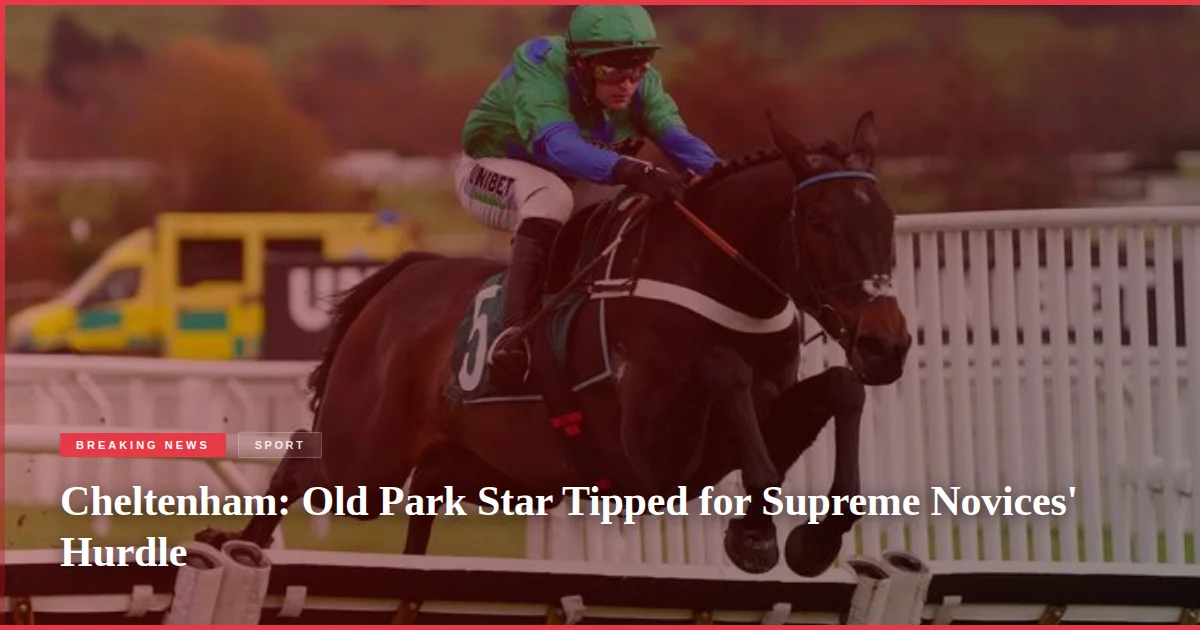Cheltenham: Old Park Star Tipped for Supreme Novices' Hurdle