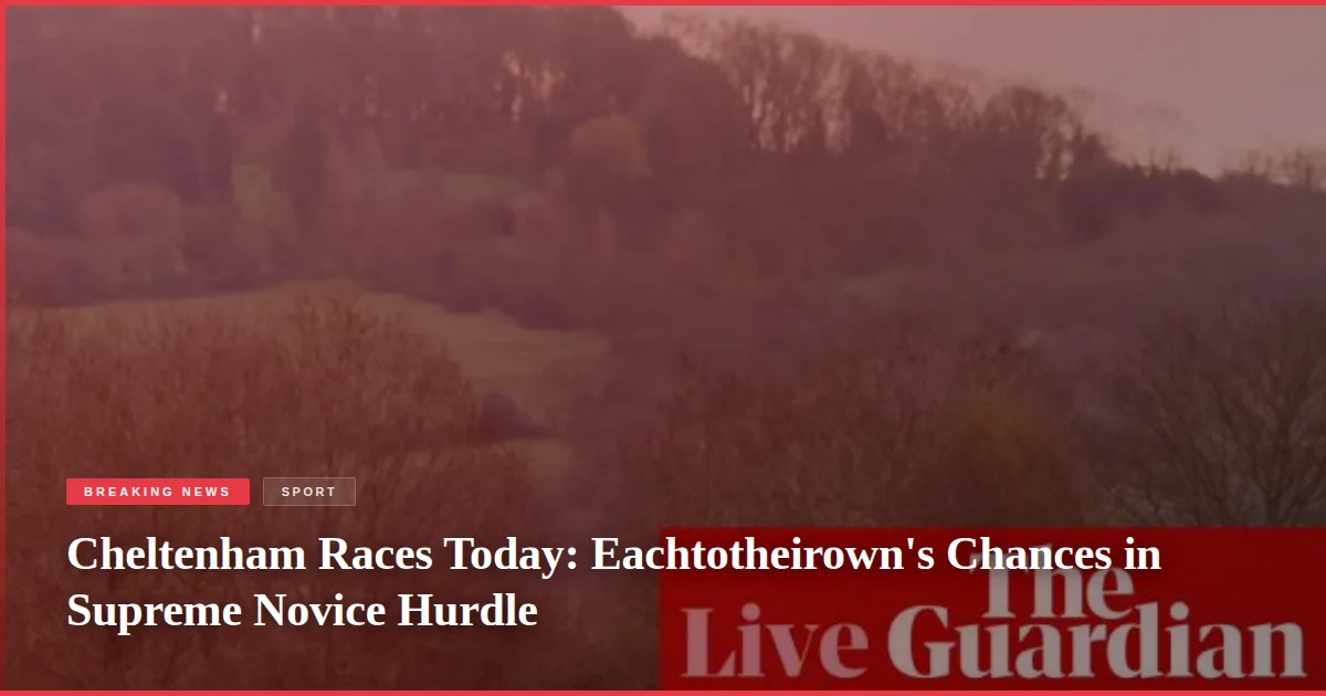 Cheltenham Races Today: Eachtotheirown's Chances in Supreme Novice Hurdle
