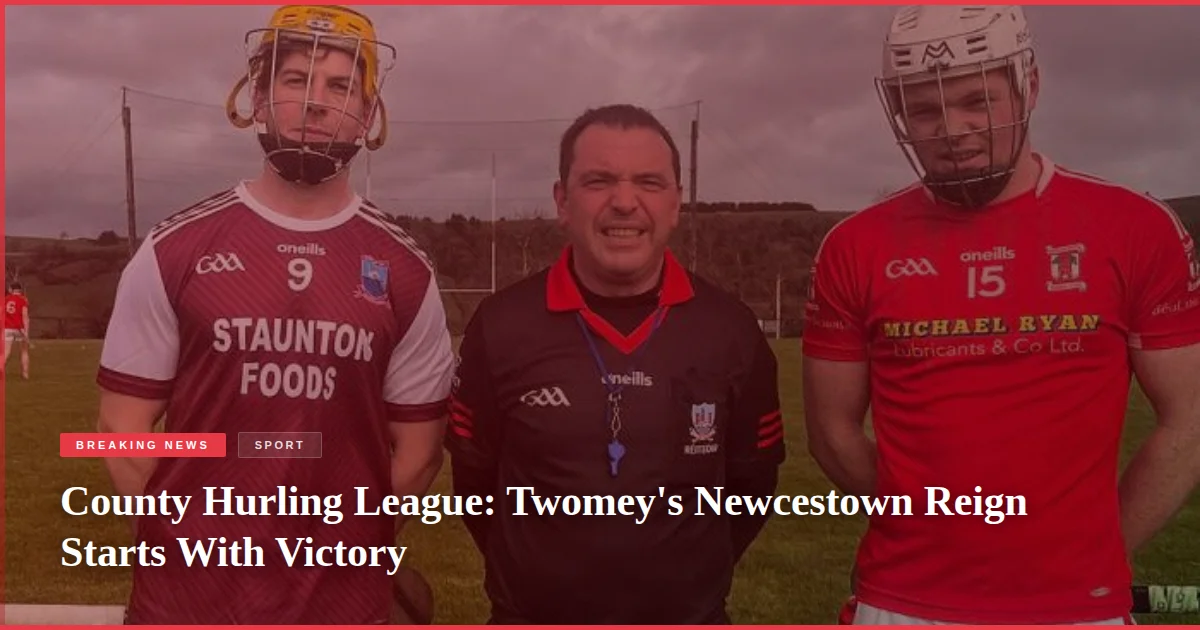 County Hurling League: Twomey's Newcestown Reign Starts With Victory