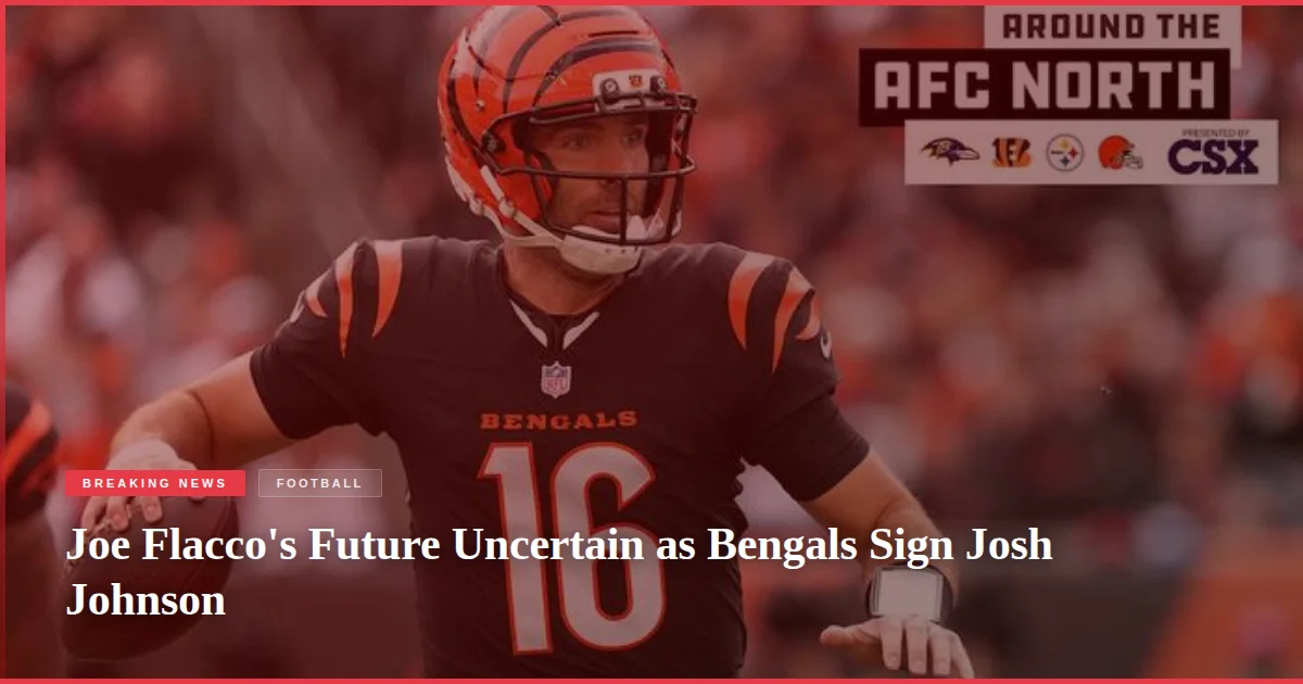 Joe Flacco's Future Uncertain as Bengals Sign Josh Johnson