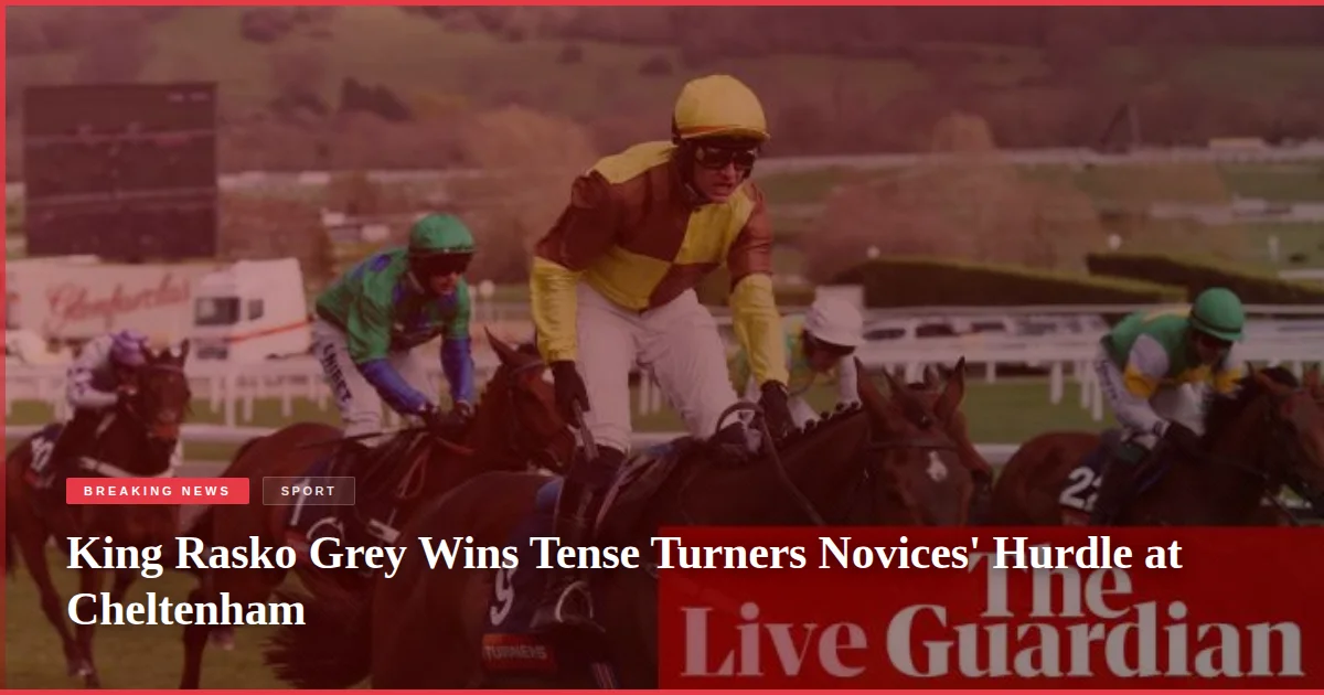 King Rasko Grey Wins Tense Turners Novices' Hurdle at Cheltenham