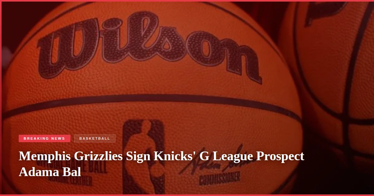 Memphis Grizzlies Sign Knicks' G League Prospect Adama Bal