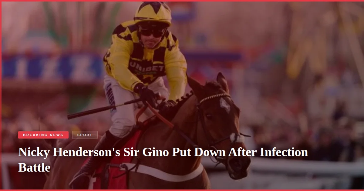 Nicky Henderson's Sir Gino Put Down After Infection Battle