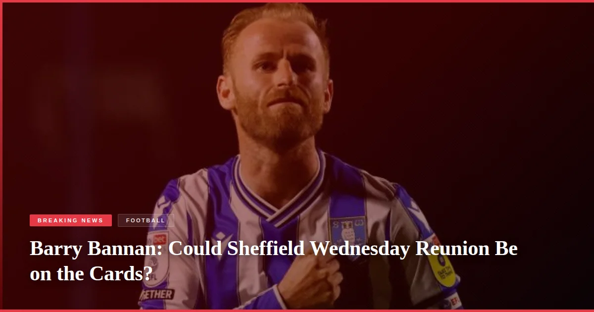 Barry Bannan: Could Sheffield Wednesday Reunion Be on the Cards?