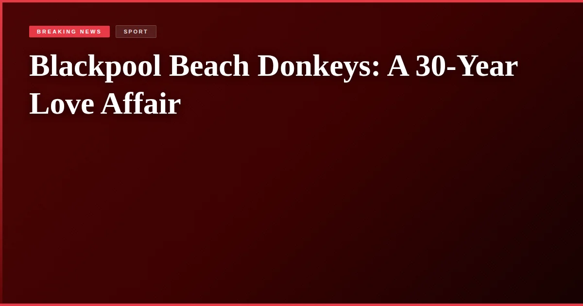 Blackpool Beach Donkeys: A 30-Year Love Affair
