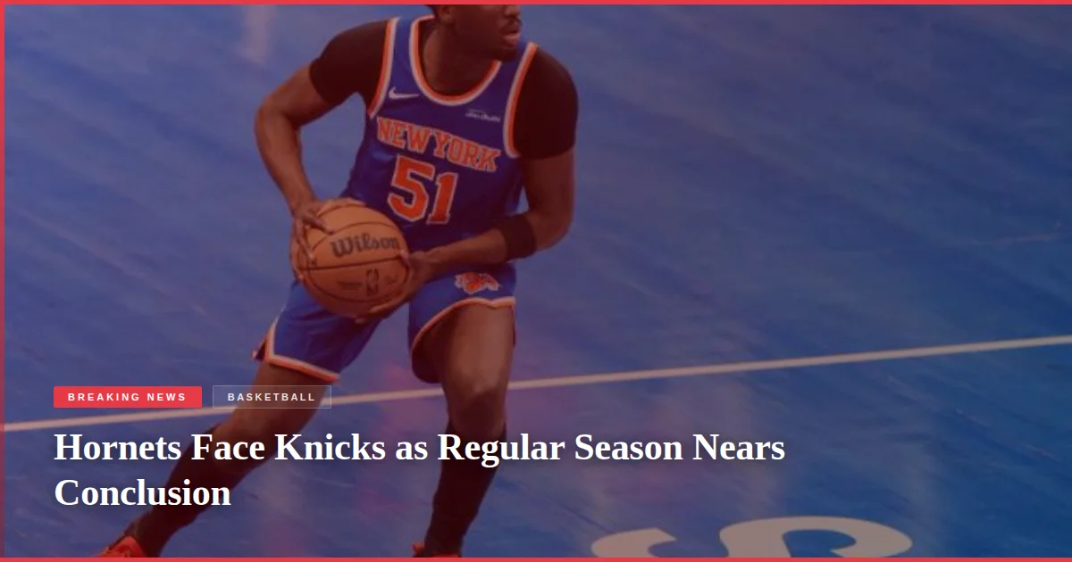 Hornets Face Knicks as Regular Season Nears Conclusion