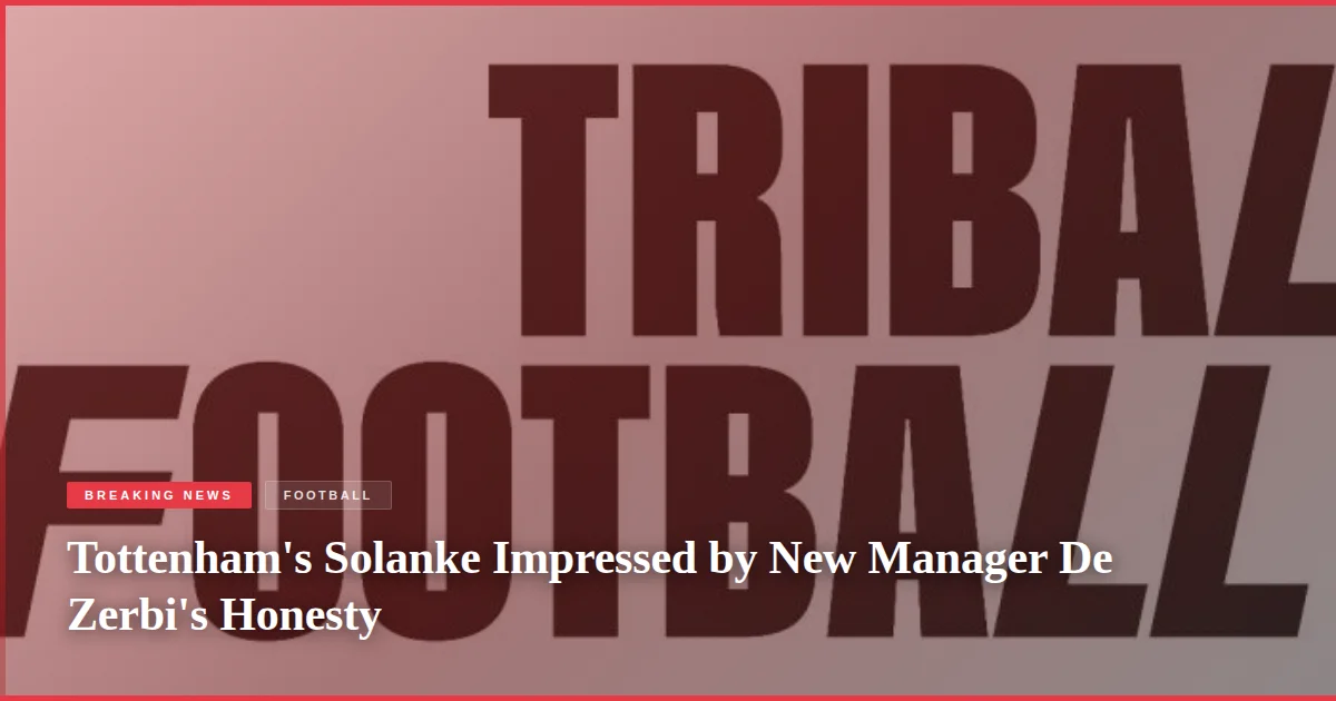 Tottenham's Solanke Impressed by New Manager De Zerbi's Honesty