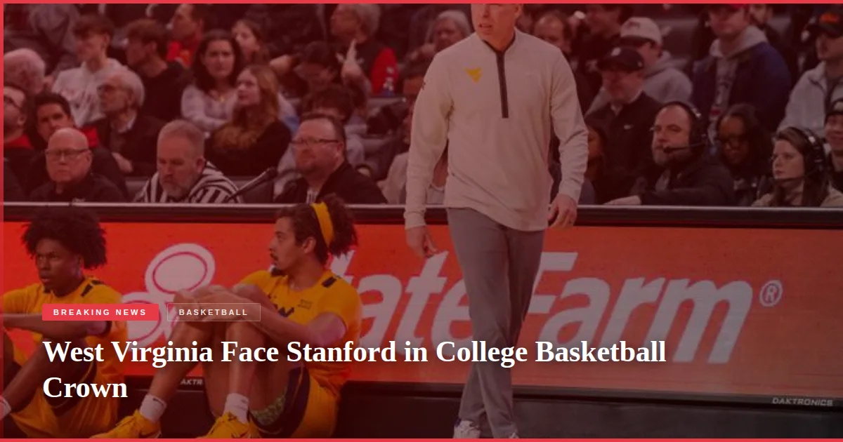 West Virginia Face Stanford in College Basketball Crown