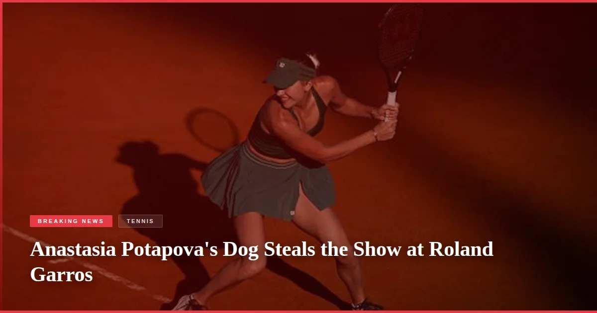 Anastasia Potapova's Dog Steals the Show at Roland Garros