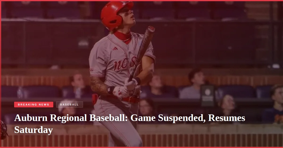 Auburn Regional Baseball: Game Suspended, Resumes Saturday