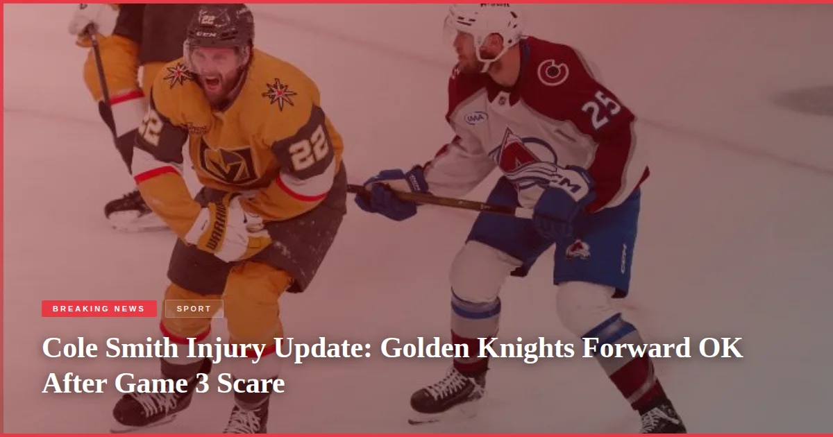 Cole Smith Injury Update: Golden Knights Forward OK After Game 3 Scare