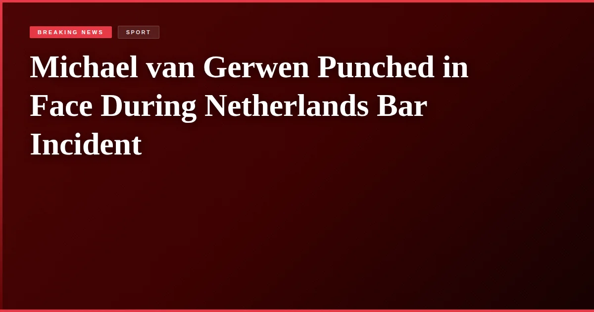 Michael van Gerwen Punched in Face During Netherlands Bar Incident