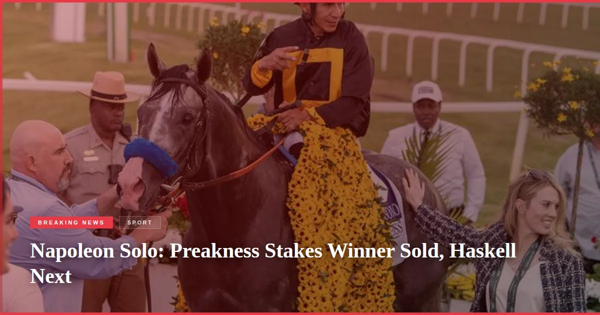 Napoleon Solo: Preakness Stakes Winner Sold, Haskell Next