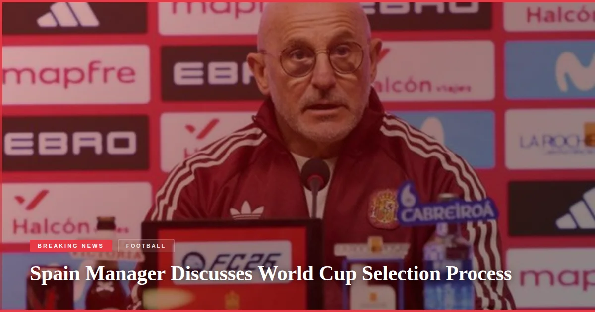 Spain Manager Discusses World Cup Selection Process